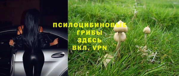 прущие крисы Баксан
